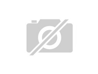 Suche einen Graupapagei